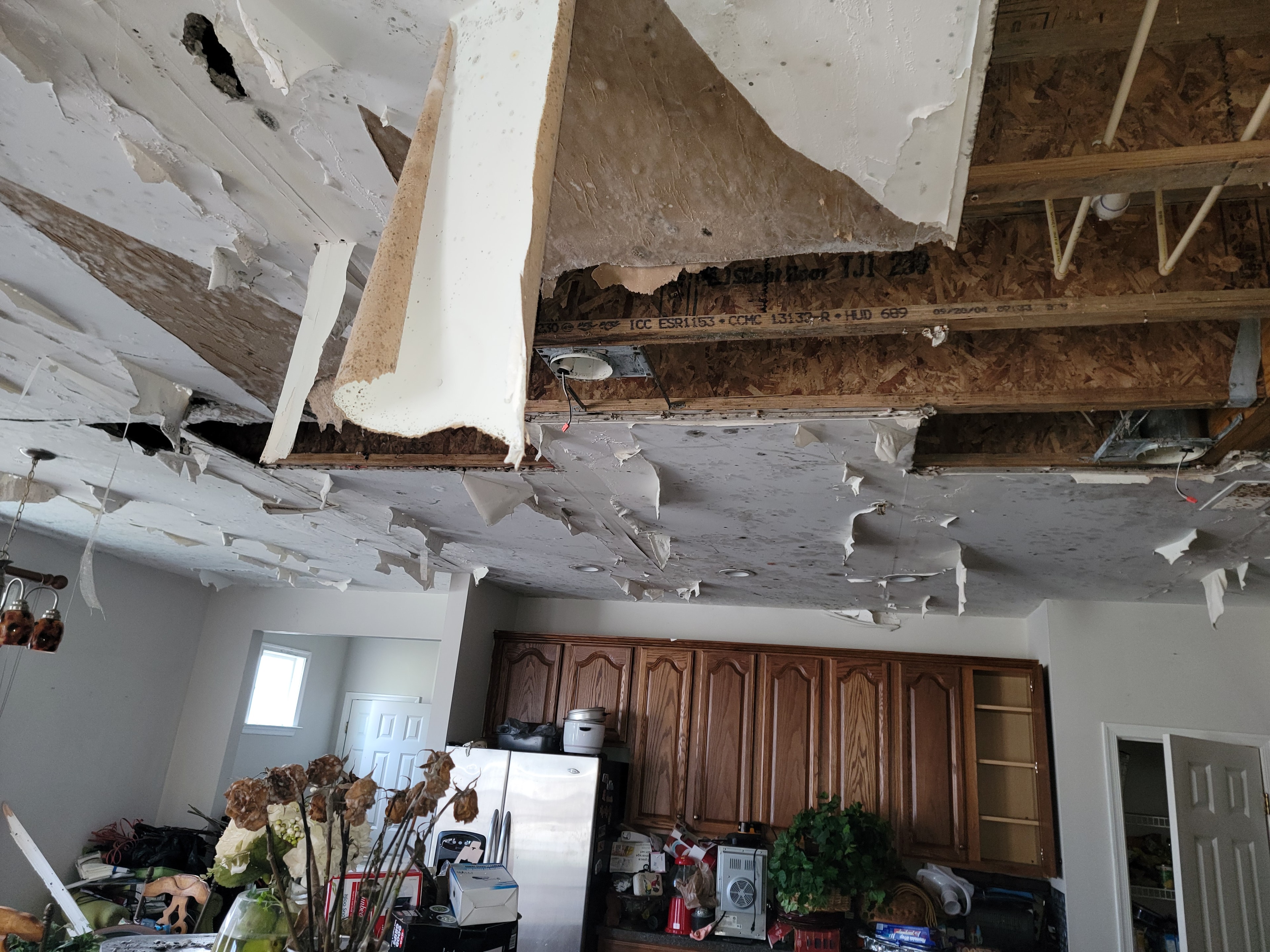 Before photo from a Fort Washington, Maryland restoration project